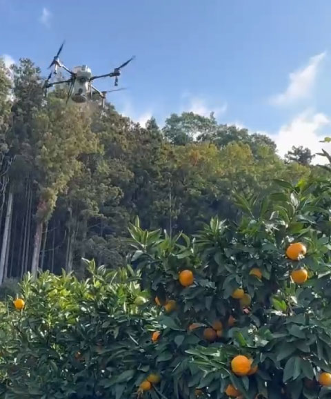 畑を耕すトラクター