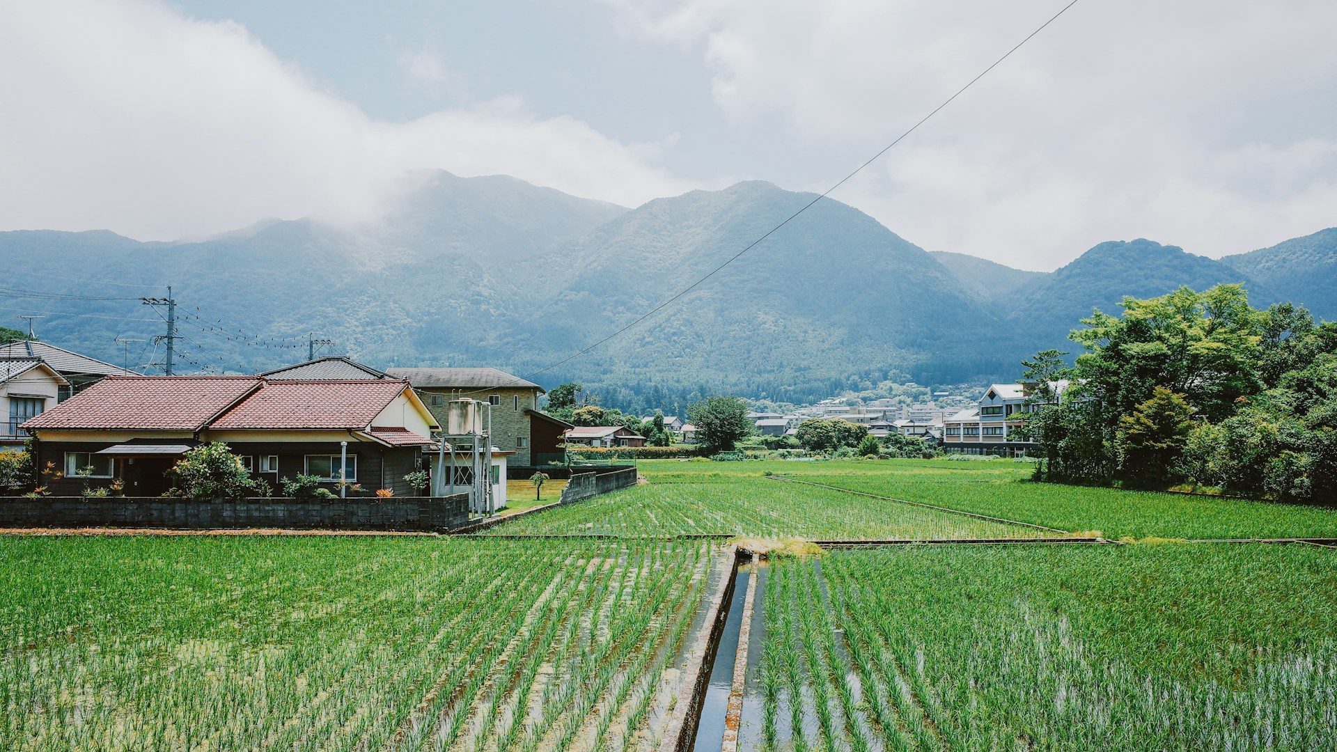 山あいの水田と集落